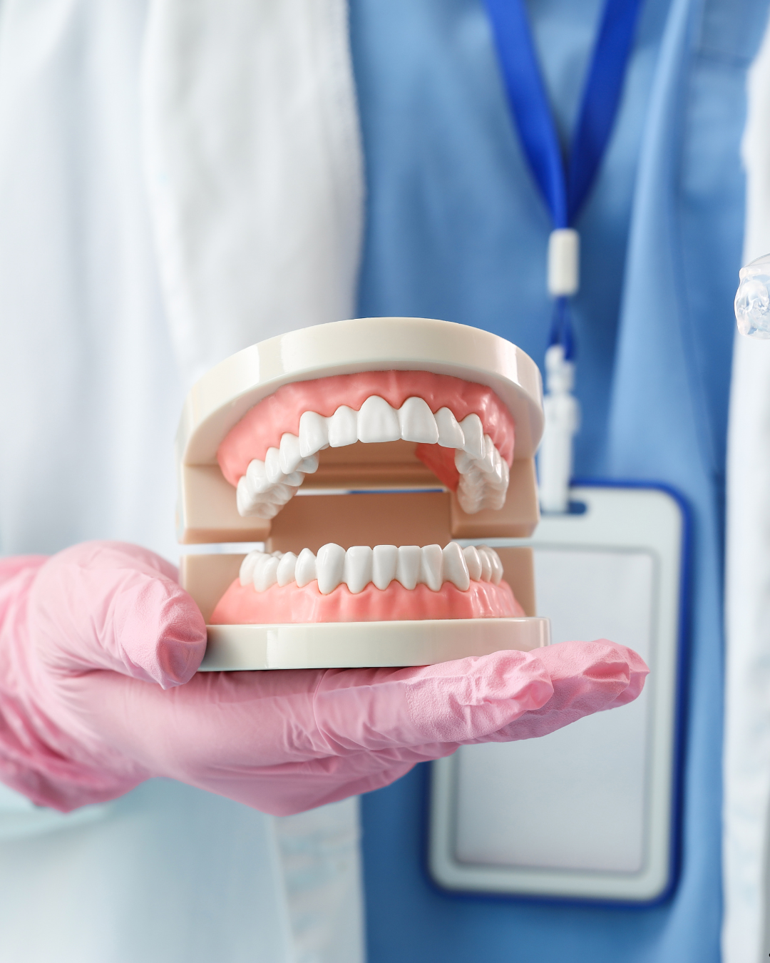 Functional Occlusion